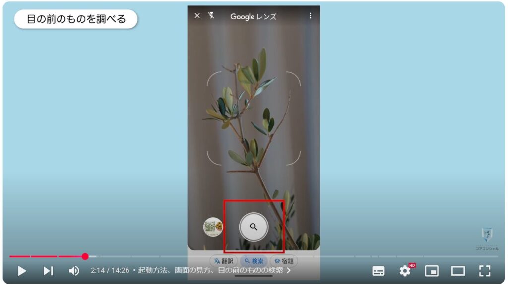 Googleレンズ：起動方法、画面の見方、目の前のものの検索