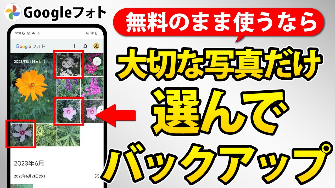 Googleフォト】必要な写真「だけ」保存できる！無料のまま使うなら