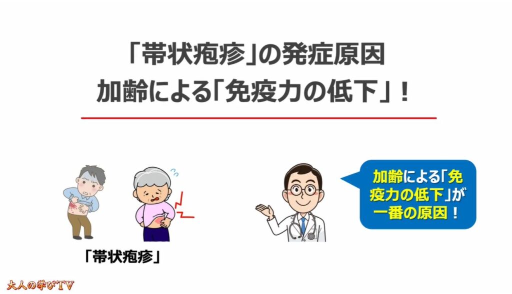 50歳以上で3人に1人が発症（帯状疱疹）：「帯状疱疹」の発症原因加齢による「免疫力の低下」！